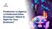 Freelancer vs Agency vs Dedicated Odoo Developer
