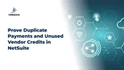 Prove Duplicate Payments and Unused Vendor Credits in NetSuite