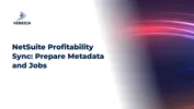 NetSuite Profitability Sync: Prepare Metadata and Jobs