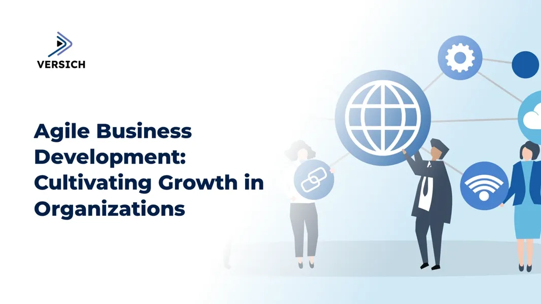 Agile Business Development for Sustainable Business Growth | Versich