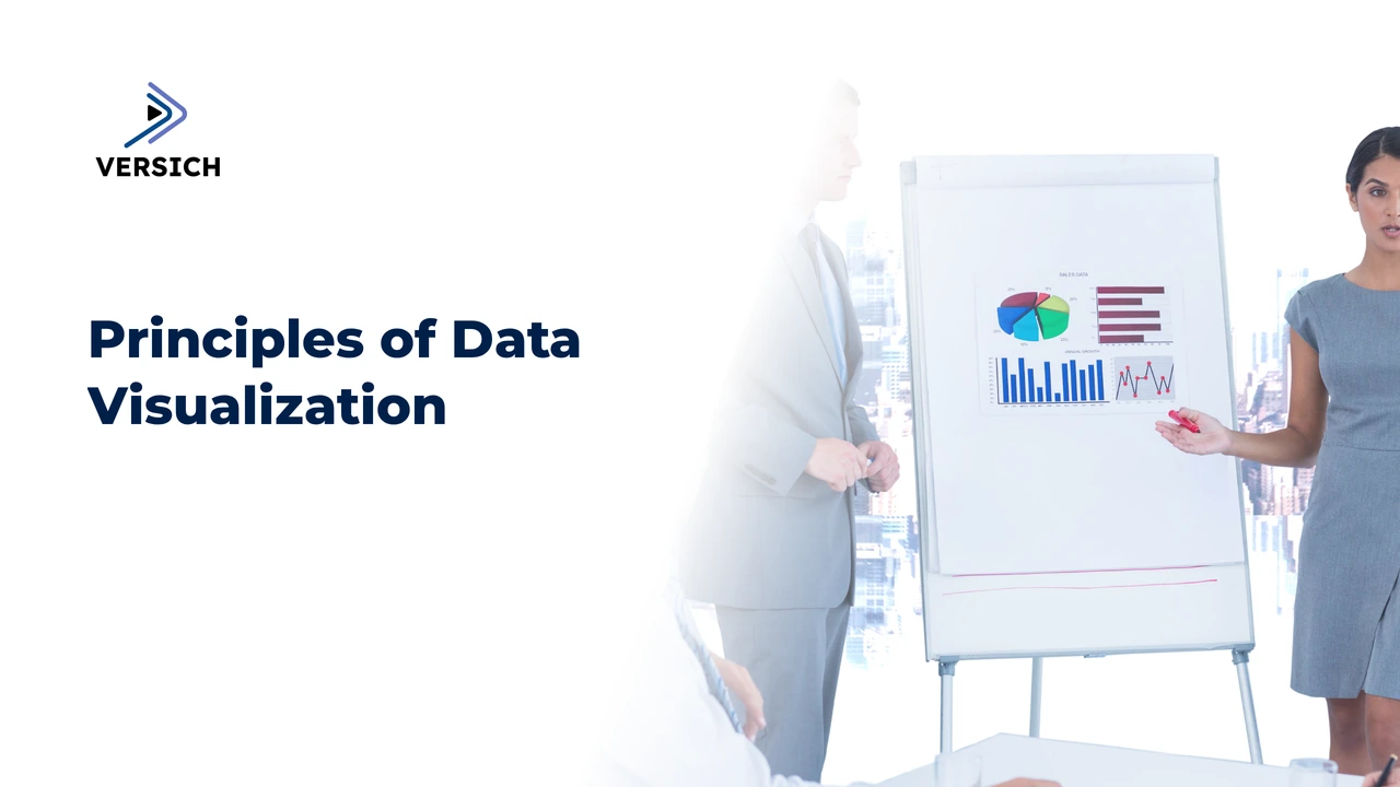 principles of data visualization