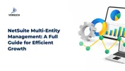 NetSuite Multi-Entity Management: A Full Guide for Efficient Growth