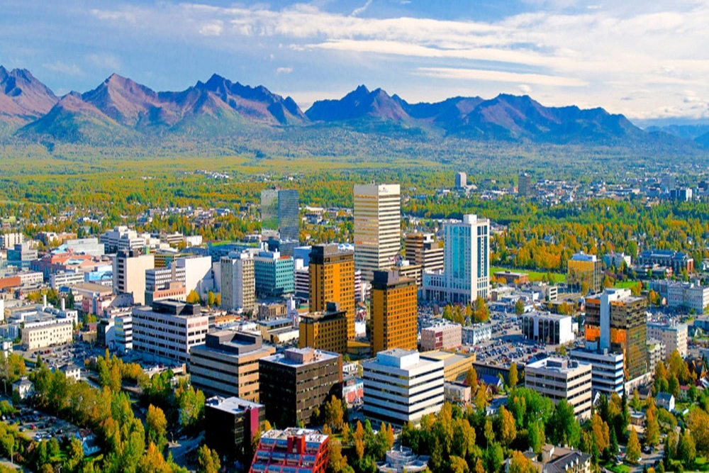 NetSuite Services in Anchorage, AK