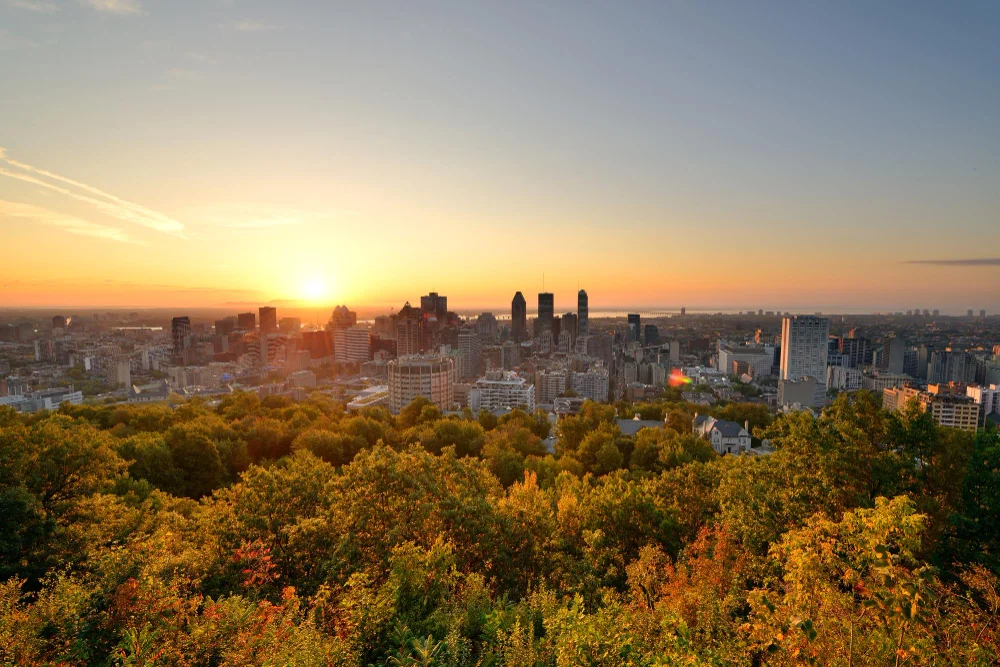 NetSuite Services in Montreal, QC