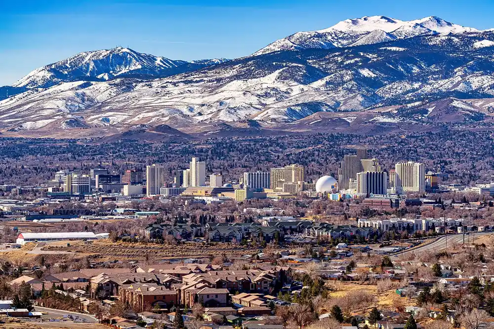 NetSuite Services in Reno, NV