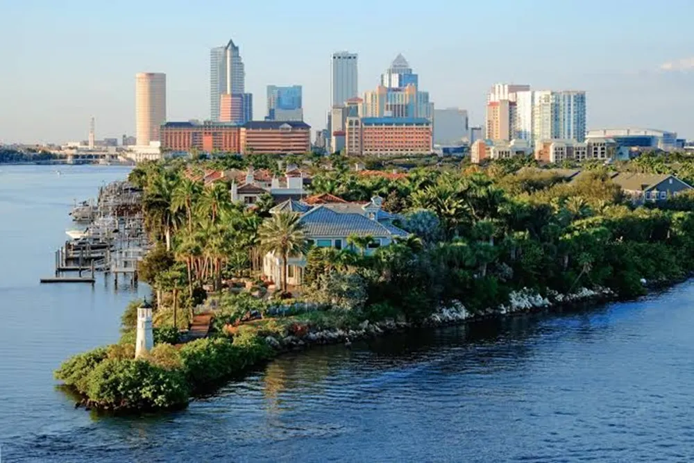 NetSuite Services in Tampa, FL