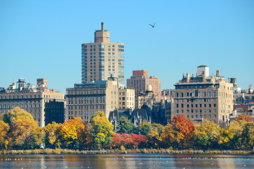 NetSuite Services in Virginia, USA