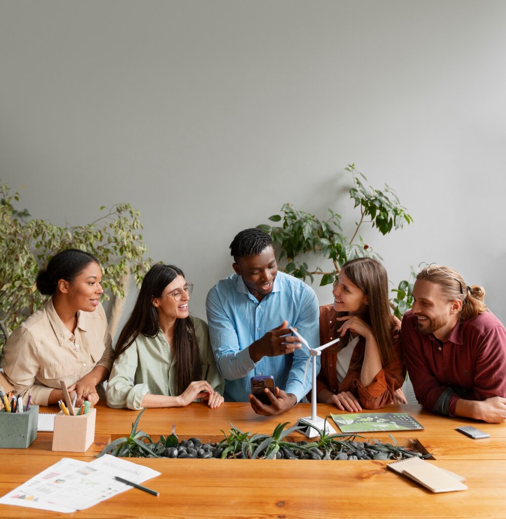 NetSuite for NonProfit Organizations