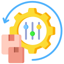 NetSuite Customization