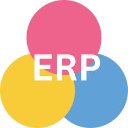 NetSuite ERP
