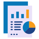 Custom Report Development 